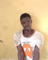 Ogun So Safe Nabs Tricyclist